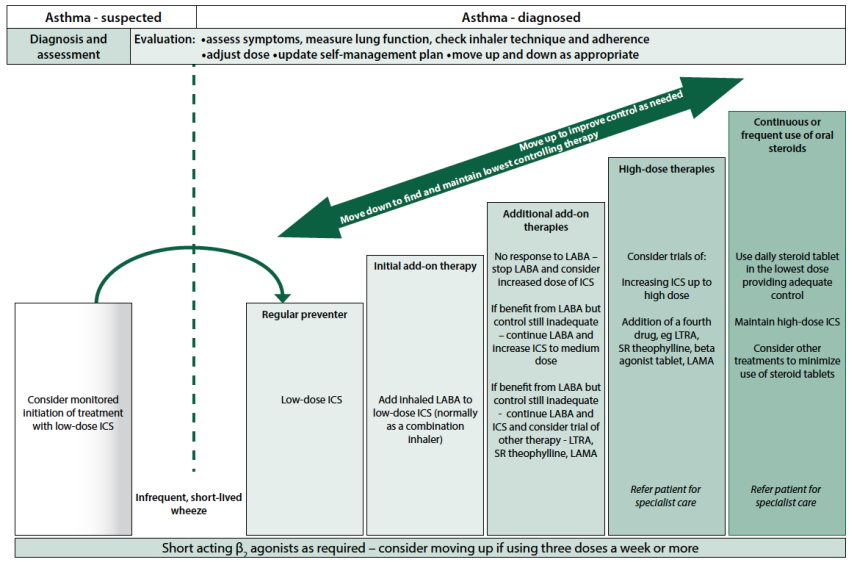 Summary of management of asthma in adults