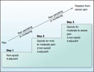 WHO pain ladder graph