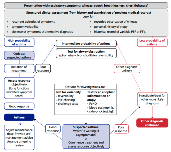 Diagnostic algorithm for asthma