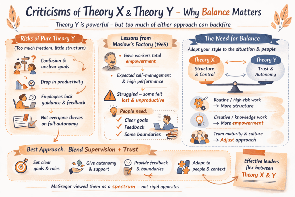 Diagram about the Criticisms of theory X and theory Y