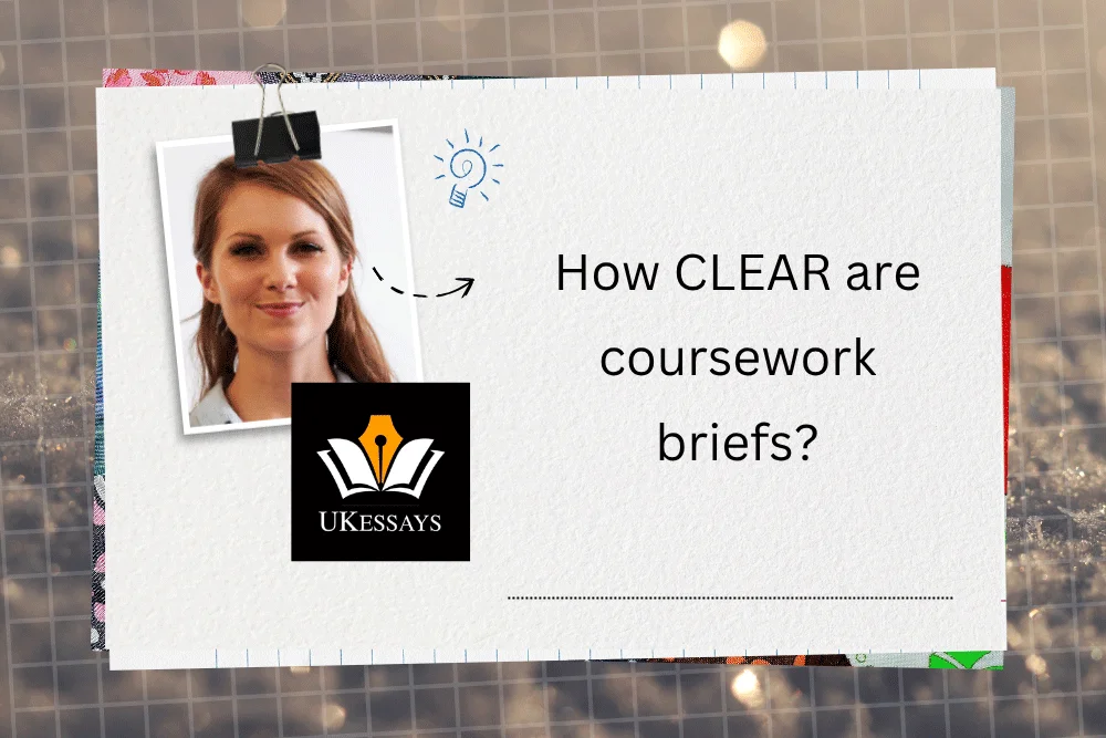 How clear are coursework briefs?
